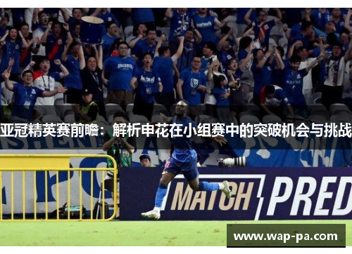 亚冠精英赛前瞻：解析申花在小组赛中的突破机会与挑战