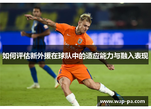 如何评估新外援在球队中的适应能力与融入表现