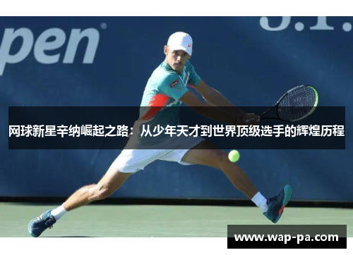 网球新星辛纳崛起之路：从少年天才到世界顶级选手的辉煌历程