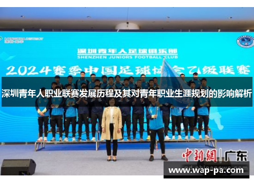 深圳青年人职业联赛发展历程及其对青年职业生涯规划的影响解析
