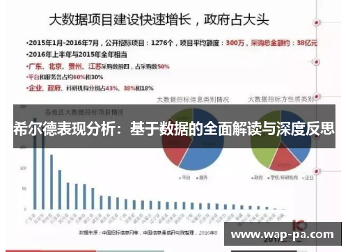 希尔德表现分析：基于数据的全面解读与深度反思