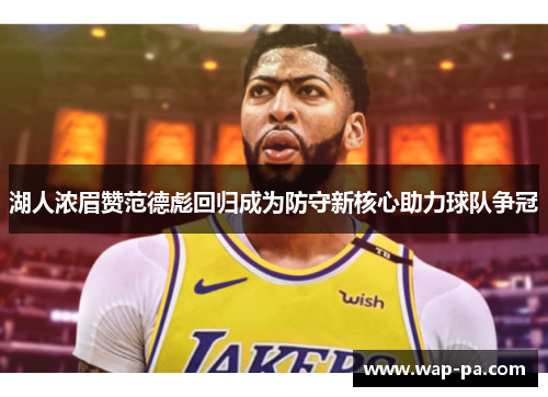 湖人浓眉赞范德彪回归成为防守新核心助力球队争冠