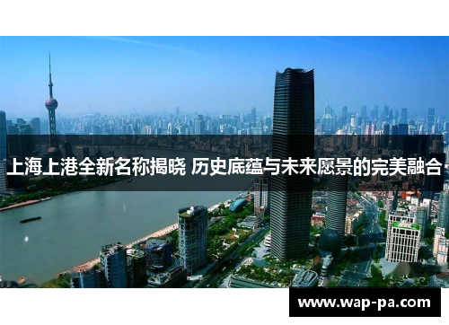 上海上港全新名称揭晓 历史底蕴与未来愿景的完美融合