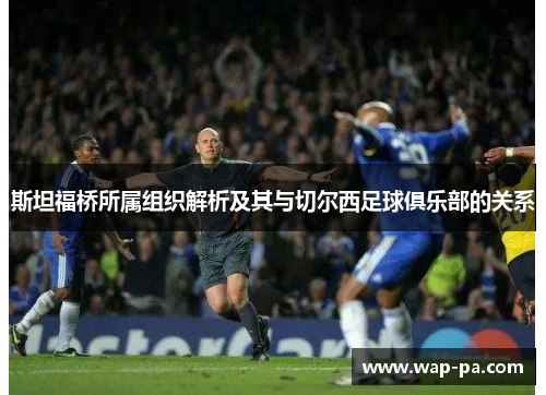 斯坦福桥所属组织解析及其与切尔西足球俱乐部的关系