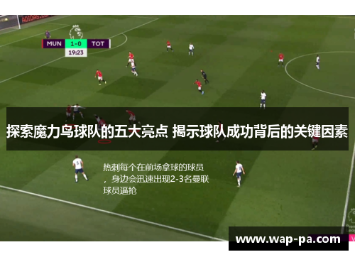 探索魔力鸟球队的五大亮点 揭示球队成功背后的关键因素