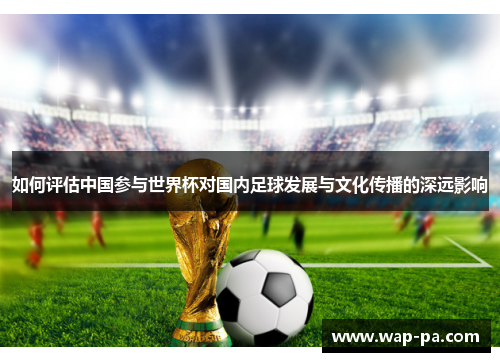 如何评估中国参与世界杯对国内足球发展与文化传播的深远影响