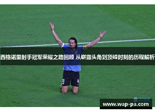 西格诺里射手冠军荣耀之路回顾 从崭露头角到顶峰时刻的历程解析