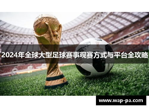 2024年全球大型足球赛事观赛方式与平台全攻略