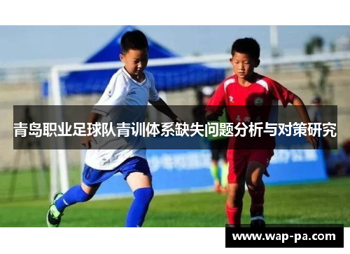 青岛职业足球队青训体系缺失问题分析与对策研究