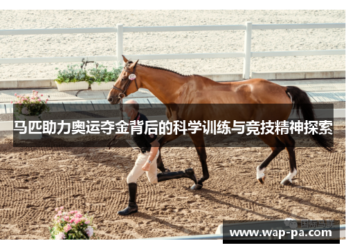 马匹助力奥运夺金背后的科学训练与竞技精神探索