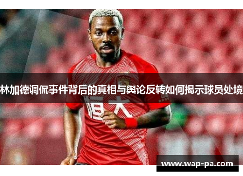 林加德调侃事件背后的真相与舆论反转如何揭示球员处境