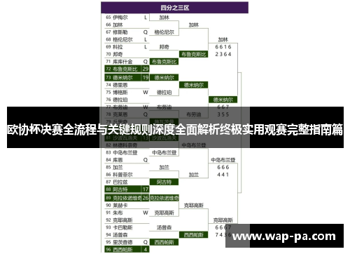 欧协杯决赛全流程与关键规则深度全面解析终极实用观赛完整指南篇 欧协杯决赛全流程与关键规则深度全面解析终极实用观赛完整指南篇
