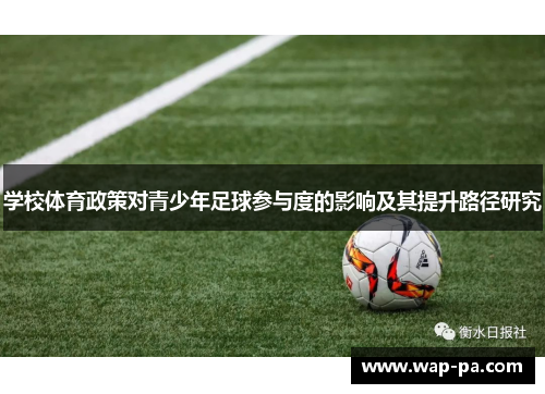 学校体育政策对青少年足球参与度的影响及其提升路径研究