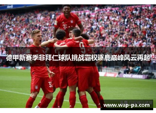 德甲新赛季非拜仁球队挑战霸权逐鹿巅峰风云再起