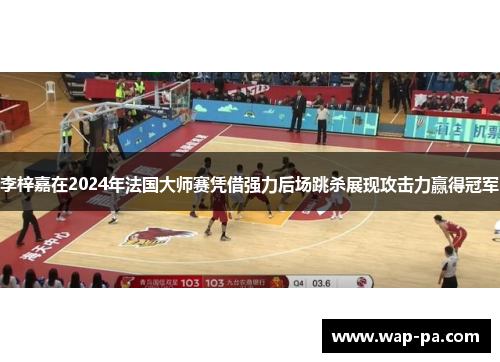 李梓嘉在2024年法国大师赛凭借强力后场跳杀展现攻击力赢得冠军