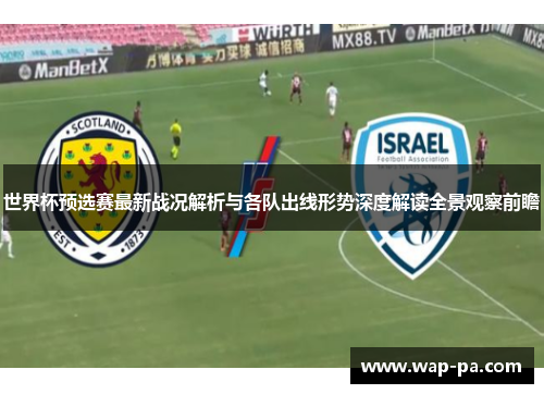 世界杯预选赛最新战况解析与各队出线形势深度解读全景观察前瞻