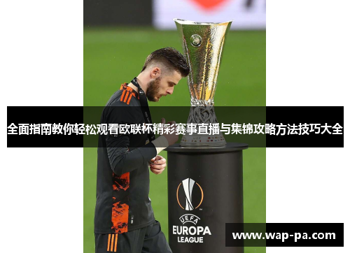 全面指南教你轻松观看欧联杯精彩赛事直播与集锦攻略方法技巧大全