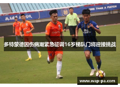 多特蒙德因伤病潮紧急征调16岁梯队门将迎接挑战 多特蒙德因伤病潮紧急征调16岁梯队门将迎接挑战