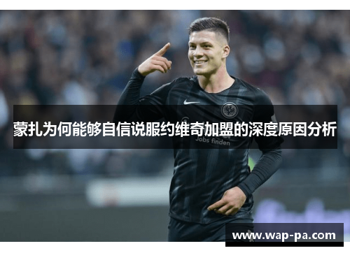 蒙扎为何能够自信说服约维奇加盟的深度原因分析