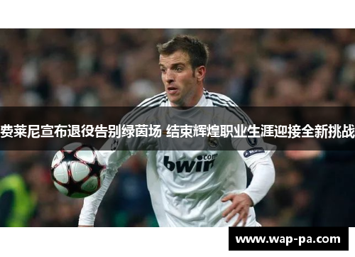 费莱尼宣布退役告别绿茵场 结束辉煌职业生涯迎接全新挑战