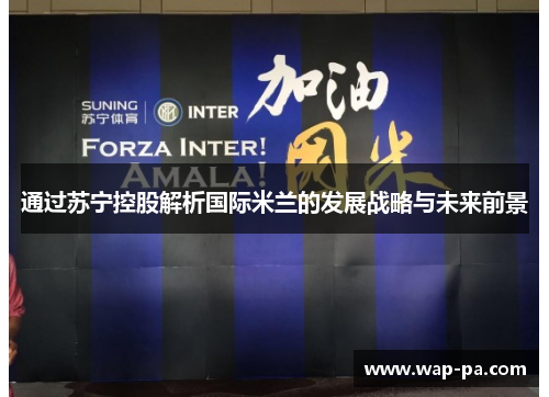 通过苏宁控股解析国际米兰的发展战略与未来前景