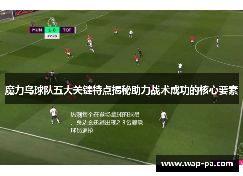 魔力鸟球队五大关键特点揭秘助力战术成功的核心要素 魔力鸟球队五大关键特点揭秘助力战术成功的核心要素
