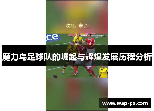 魔力鸟足球队的崛起与辉煌发展历程分析