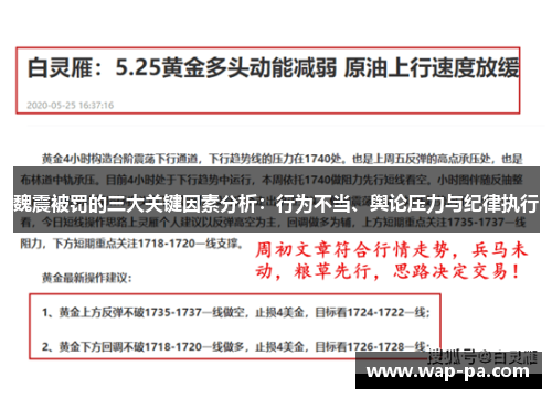 魏震被罚的三大关键因素分析：行为不当、舆论压力与纪律执行