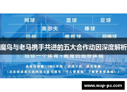 魔鸟与老马携手共进的五大合作动因深度解析
