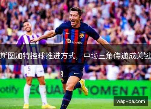 斯图加特控球推进方式,中场三角传递成关键 斯图加特控球推进方式,中场三角传递成关键