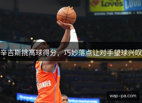 辛吉斯挑高球得分,巧妙落点让对手望球兴叹 辛吉斯挑高球得分,巧妙落点让对手望球兴叹